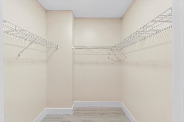 spacious closet with light hardwood / wood-style flooring