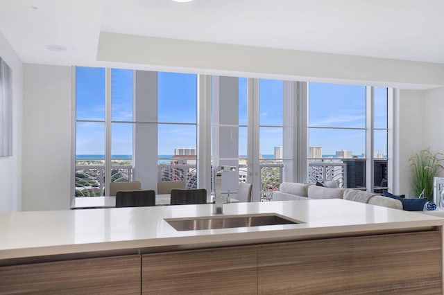 kitchen featuring a healthy amount of sunlight and sink