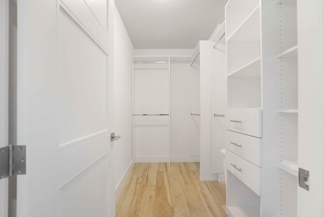 spacious closet with light wood-type flooring