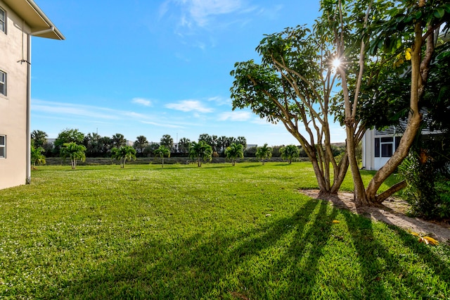 view of yard