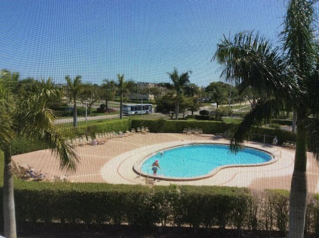 view of pool featuring a patio