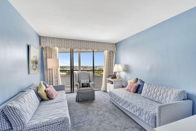 view of carpeted living room