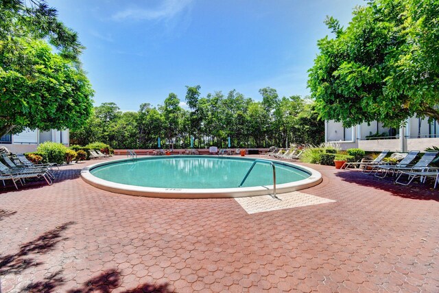 view of swimming pool with a patio