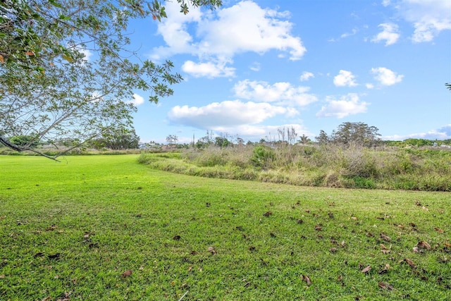 view of local wilderness featuring a rural view