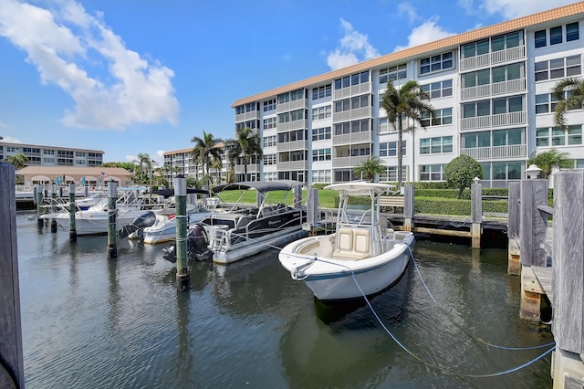 dock area with a water view