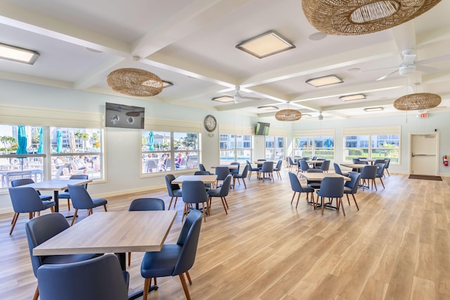 dining area featuring light wood-type flooring, ceiling fan, and plenty of natural light