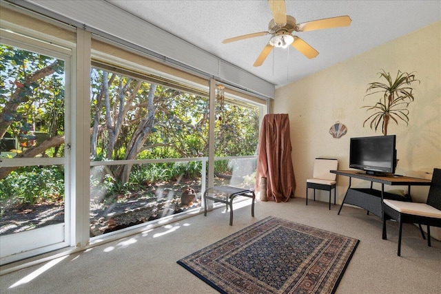 interior space with plenty of natural light, a textured ceiling, carpet, and ceiling fan