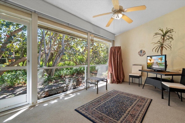 sitting room with plenty of natural light, ceiling fan, and carpet floors