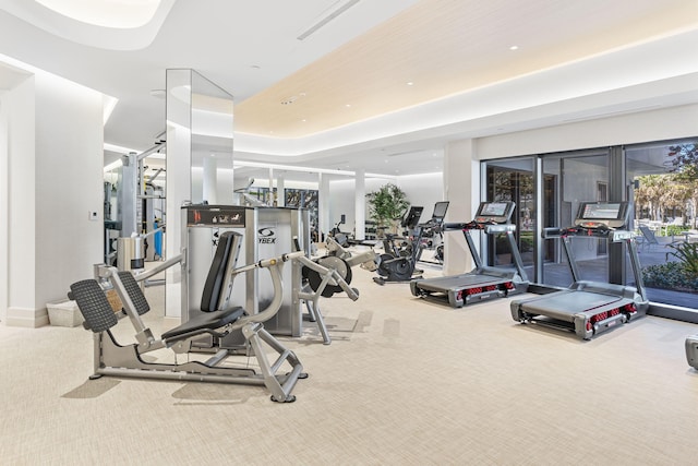 gym featuring light carpet and a raised ceiling