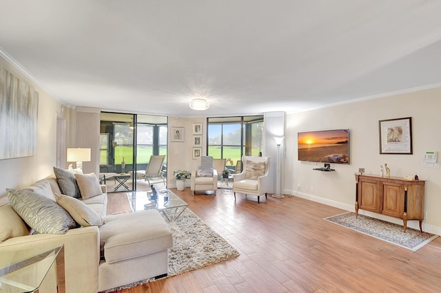 living room with crown molding, a wall of windows, and hardwood / wood-style flooring