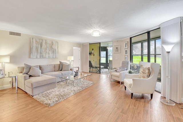 living room with hardwood / wood-style floors