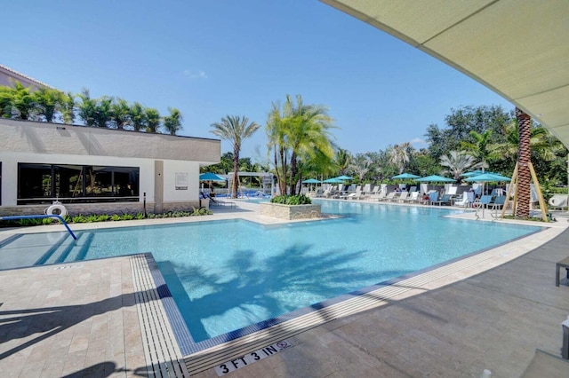 view of swimming pool featuring a patio area