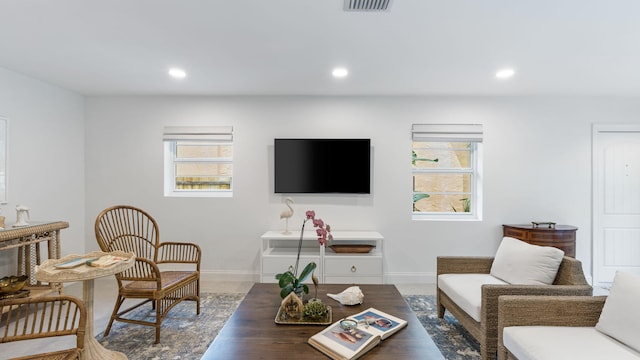 living room featuring a wealth of natural light