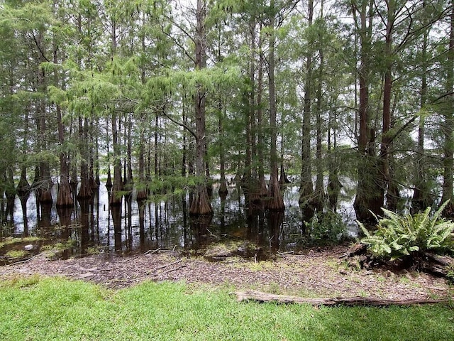 view of local wilderness featuring a water view