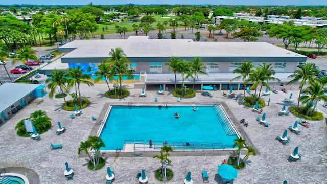 view of pool featuring a patio area