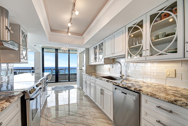 kitchen with sink, a water view, a tray ceiling, white cabinets, and appliances with stainless steel finishes