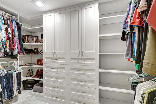 view of walk in closet