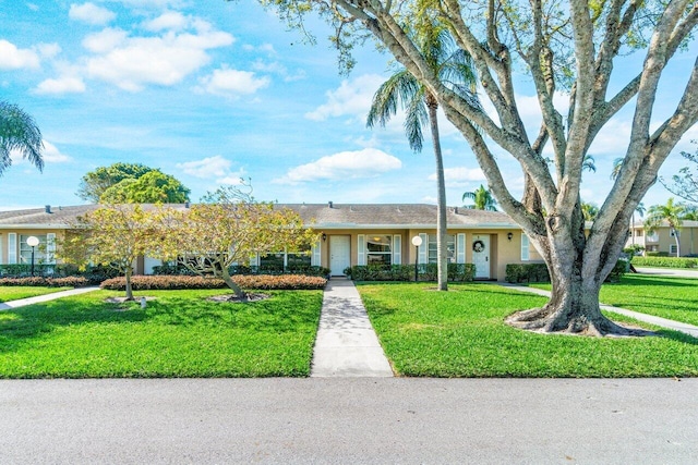 ranch-style house with a front lawn