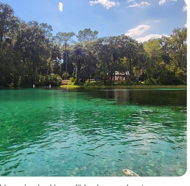 Listing photo 3 for 00 SW Little Cliffs Dr, Dunnellon FL 34431