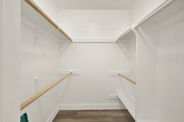 spacious closet featuring dark hardwood / wood-style flooring