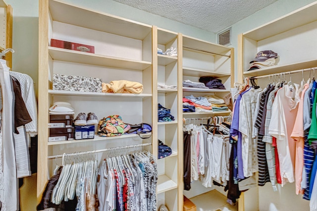 view of spacious closet