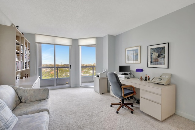 carpeted office with a textured ceiling