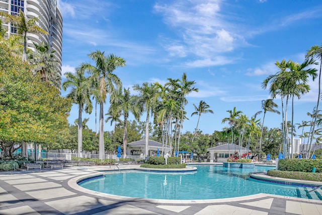 view of pool with a patio