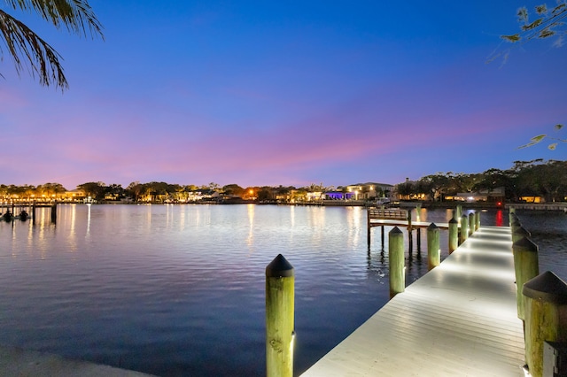 dock area featuring a water view