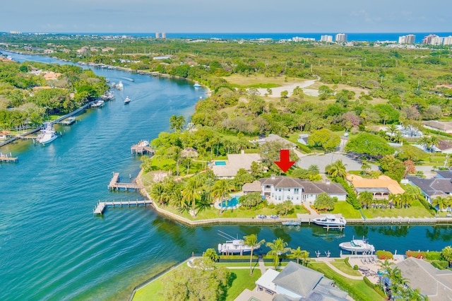 aerial view with a water view