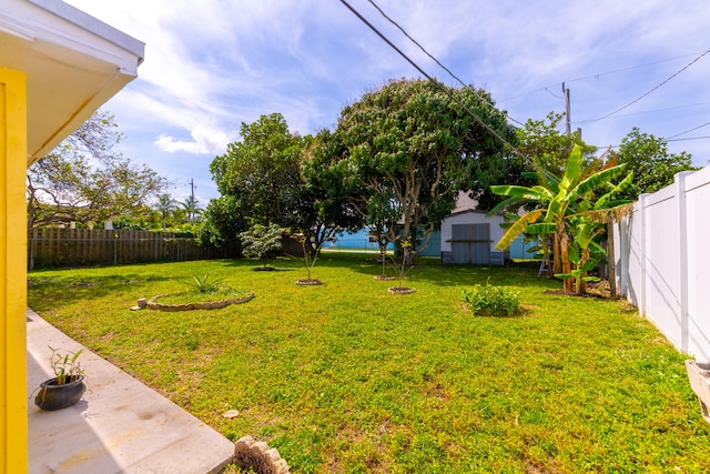 view of yard featuring a storage shed