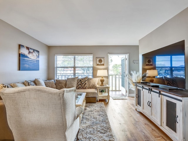 living room featuring light wood-type flooring