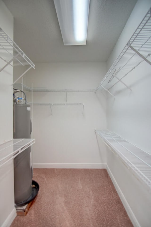 spacious closet featuring light colored carpet