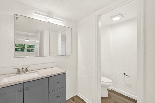 bathroom featuring toilet, wood-type flooring, and vanity