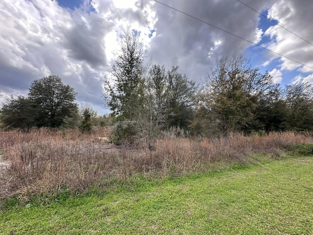 Listing photo 2 for 0000 SW 107th St, Dunnellon FL 34432