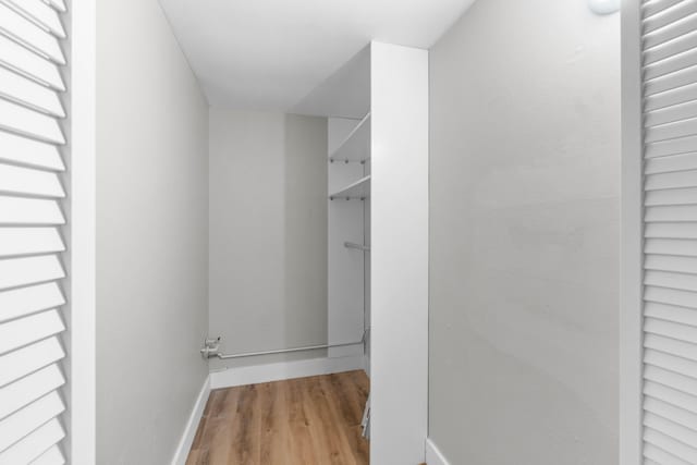 spacious closet with hardwood / wood-style flooring