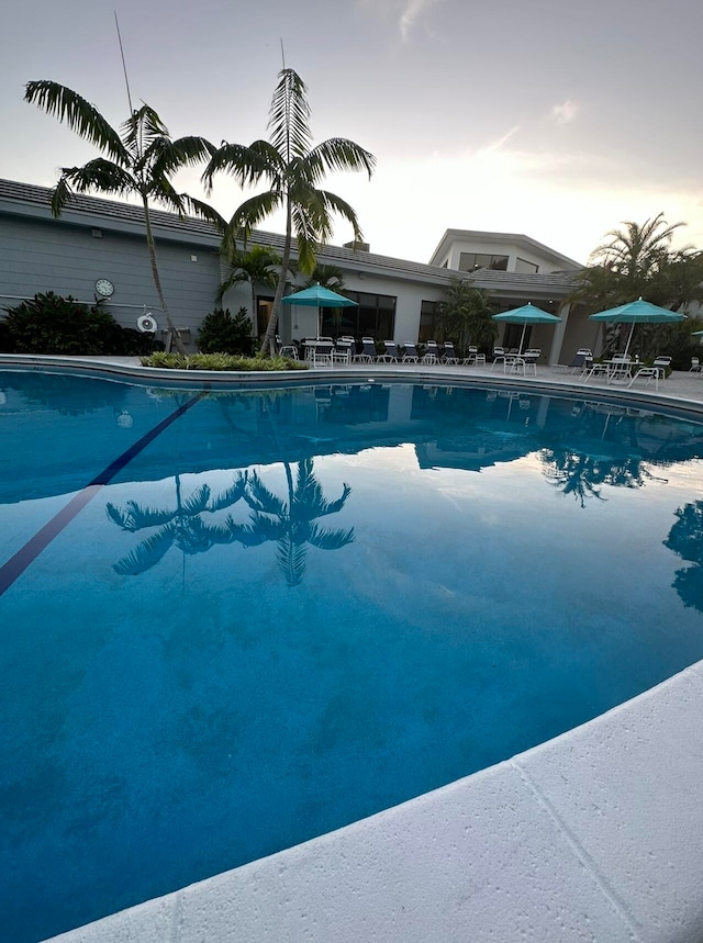 view of swimming pool