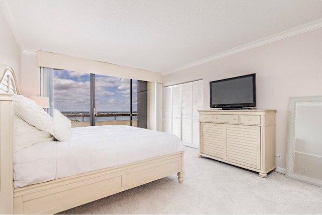 carpeted bedroom featuring a closet and crown molding