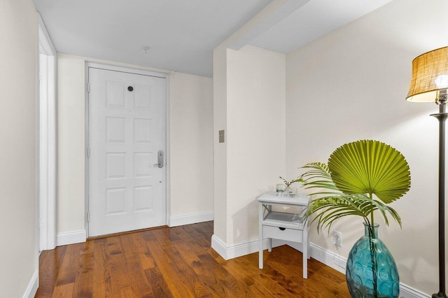 foyer featuring dark hardwood / wood-style floors