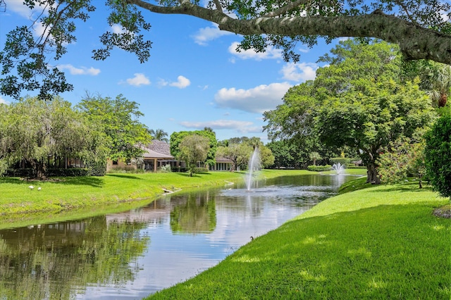 water view