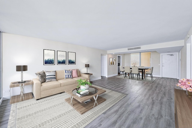 living room featuring wood-type flooring