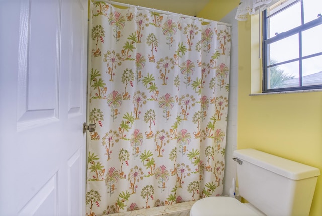 bathroom with toilet and plenty of natural light