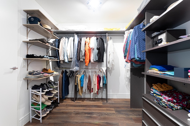 walk in closet with dark hardwood / wood-style floors