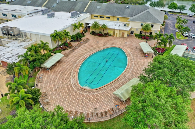 view of pool with a patio and a grill