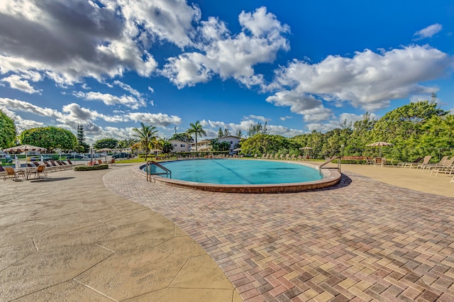 view of pool featuring a patio