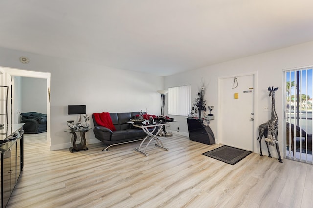 living room with light wood-type flooring