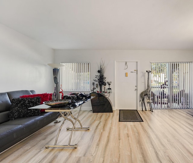 living room featuring light hardwood / wood-style floors