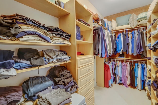 spacious closet with carpet