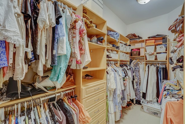 spacious closet featuring carpet