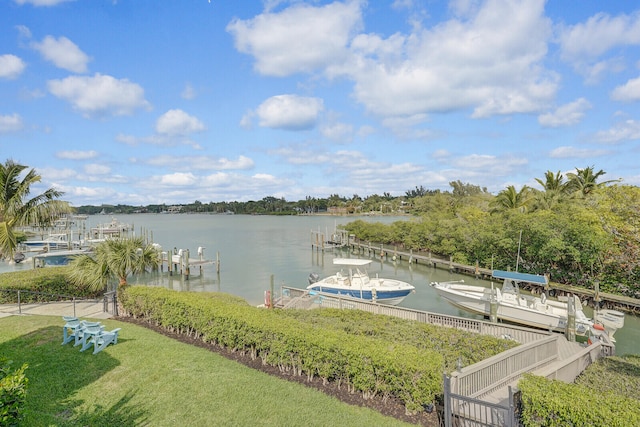 water view featuring a boat dock