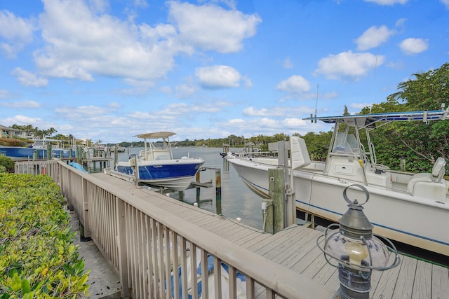 dock area with a water view